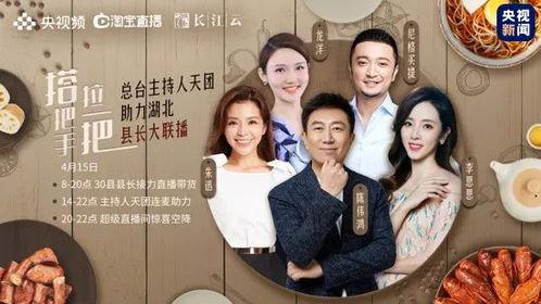 寻情记爆料王大宝视频播放  第3张