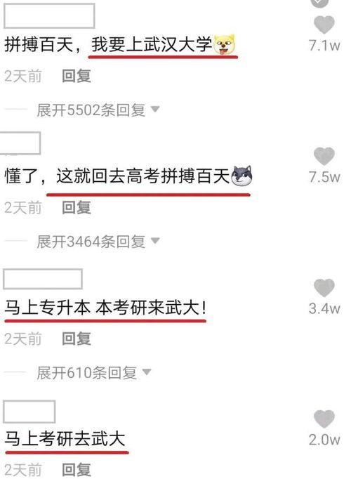 武汉大学最新爆料视频,校园生活新篇章